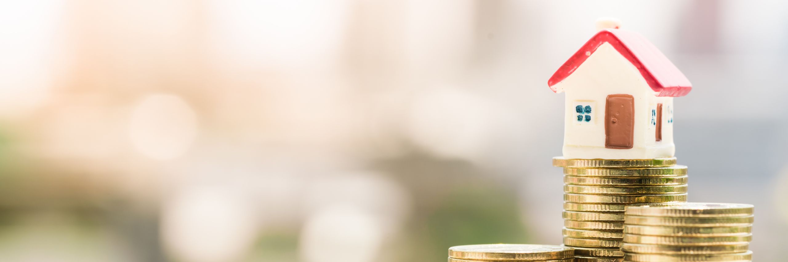 Chomanič & Team header image
